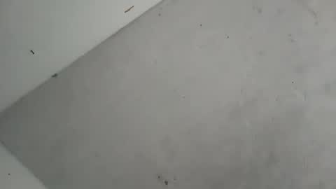 Contreras online show from 10.07.25