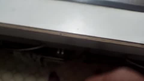 alostmale online show from 12.08.24