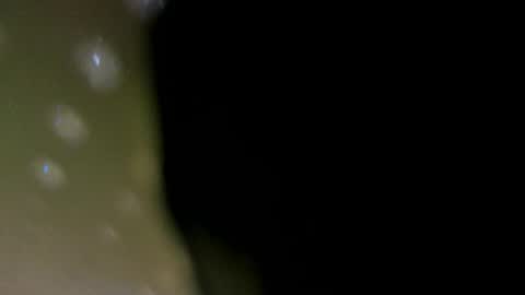 Snapshot of alotta_titties chatting on 02.05.26 alotta_titties online show from 02.05.26