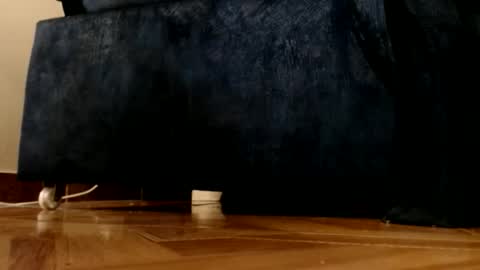 Snapshot of alphaswitchard chatting on 03.01.26 ur god online show from 03.01.26