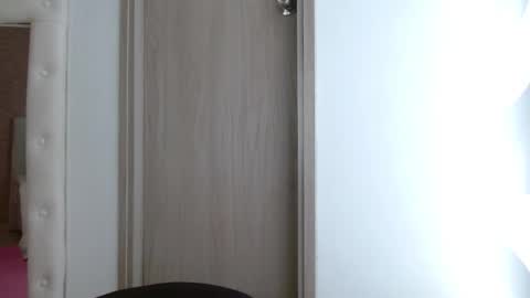 Snapshot of alterego1__ chatting on 02.24.25 Alter  online show from 02.24.25