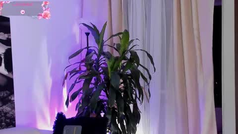 Amatista online show from 09.22.25