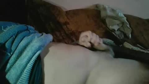 Snapshot of amazingcuteboy845 chatting on 10.18.25 amazingcuteboy845 online show from 10.18.25