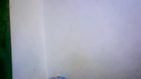 Snapshot of ambar166 chatting on 12.17.25 ambar166 online show from 12.17.25