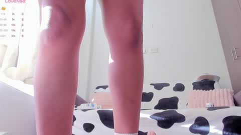 Amber online show from 12.11.24