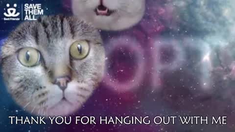 Amber online show from 03.05.25