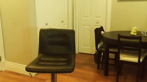 HOT white  naughty leo  xxx online show from 01.12.25