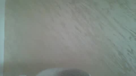 Snapshot of amongus322565 chatting on 05.04.26 VelvetVibe online show from 05.04.26