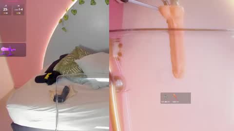 Snapshot of amy_vans_ chatting on 03.11.25 Amy nickname Kirby online show from 03.11.25