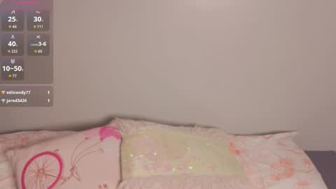 Snapshot of amy_vans_ chatting on 11.30.25 Amy nickname Kirby online show from 11.30.25