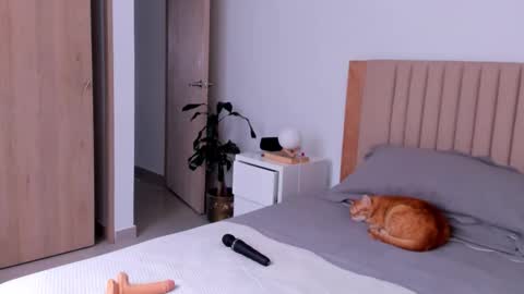 Ana Henao or Annie... Follow me ahenaocb Insta  X online show from 09.26.25