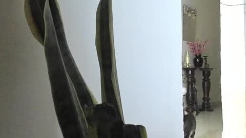 Snapshot of anapakerman chatting on 03.09.25 Ana Pakerman online show from 03.09.25