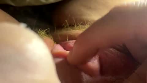 anastasia online show from 02.26.26