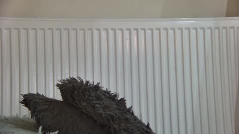 of  just4ana online show from 01.05.26