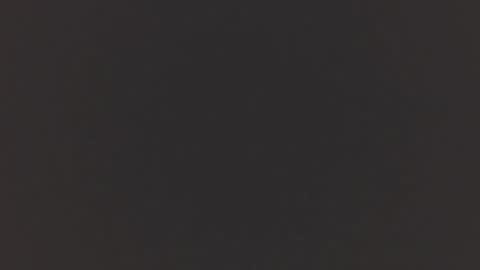   online show from 11.19.25