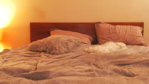 Andra online show from 02.25.26