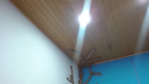 Andre online show from 02.03.26