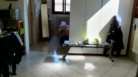 androx77 online show from 03.31.26