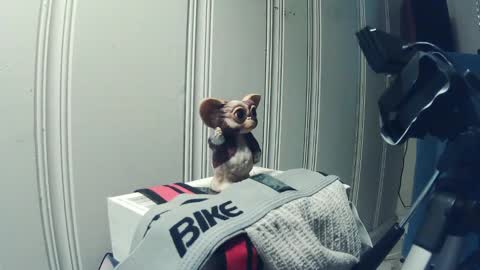 andy_552 online show from 09.18.25