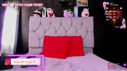 andy angel online show from 02.21.25