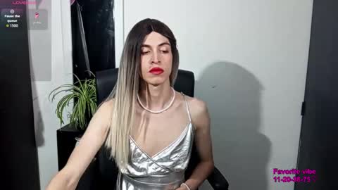 Andy van der Rose online show from 02.11.26