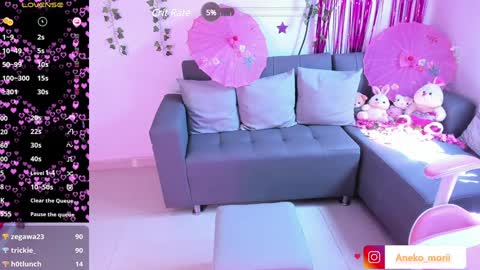 Snapshot of aneko_morii chatting on 02.06.25 online show from 02.06.25