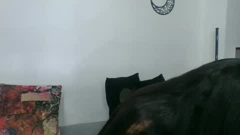  Angela  online show from 03.11.25