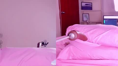 Snapshot of angeli__wu chatting on 02.18.25 Angeli  online show from 02.18.25