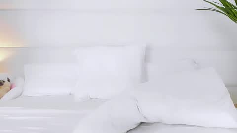 Angelic online show from 11.01.25