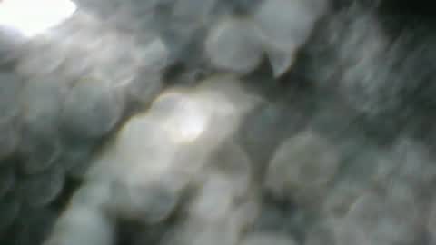 angeltta69 online show from 04.08.26