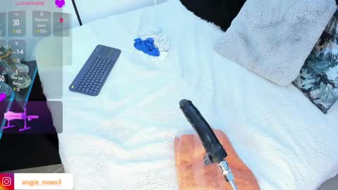 angiee roses online show from 12.13.24