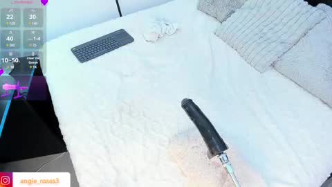 angiee roses online show from 03.08.25