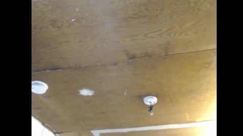 Ani online show from 02.25.25