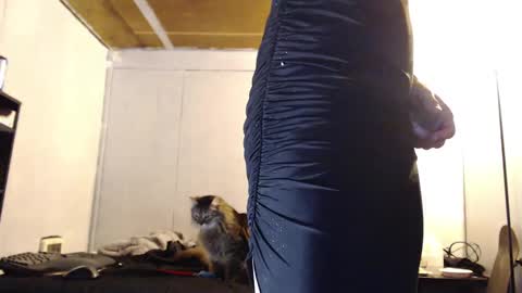 Ani online show from 03.10.25