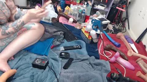 Twitter at animegamergrl. No vids for sale on Chaturbate. online show from 06.08.26