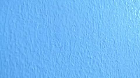 ana independent model online show from 12.02.24