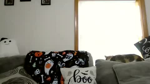 anne online show from 10.28.25