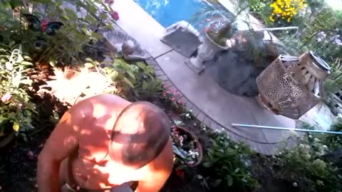 Snapshot of anoaklawnguy chatting on 09.14.25 anoaklawnguy online show from 09.14.25