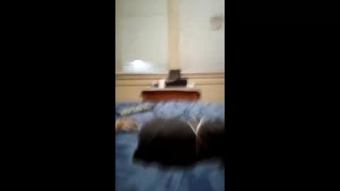 anthonymichael691973668762 online show from 03.03.26