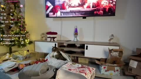 Anyi  Orion and Pyxis online show from 01.07.25