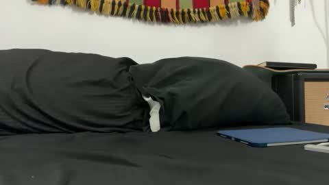 cowboy online show from 11.18.25