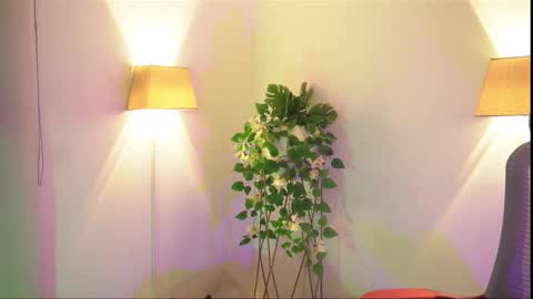 insta appolo master online show from 11.26.25