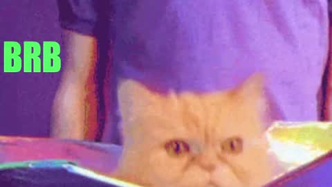 aprill_o_nill online show from 04.17.26