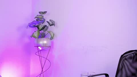   online show from 01.19.25