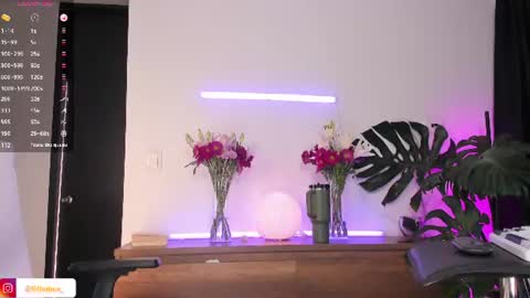 Snapshot of ariana_fitl chatting on 07.09.26 DaniAri - dimension X at night NY time online show from 07.09.26
