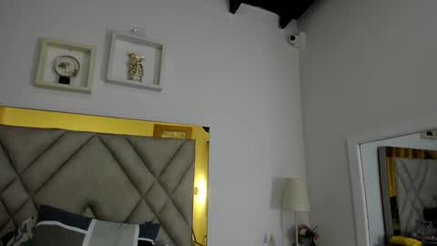  ARI  online show from 01.18.25