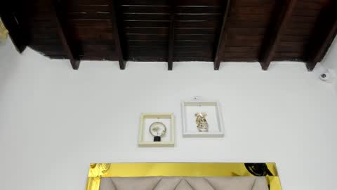  ARI  online show from 03.03.25