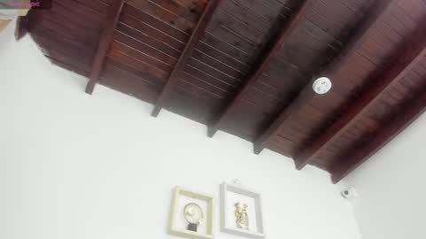  ARI  online show from 03.08.25