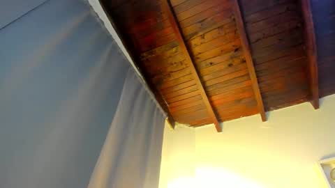  ARI  online show from 11.19.25