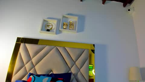  ARI  online show from 11.30.25